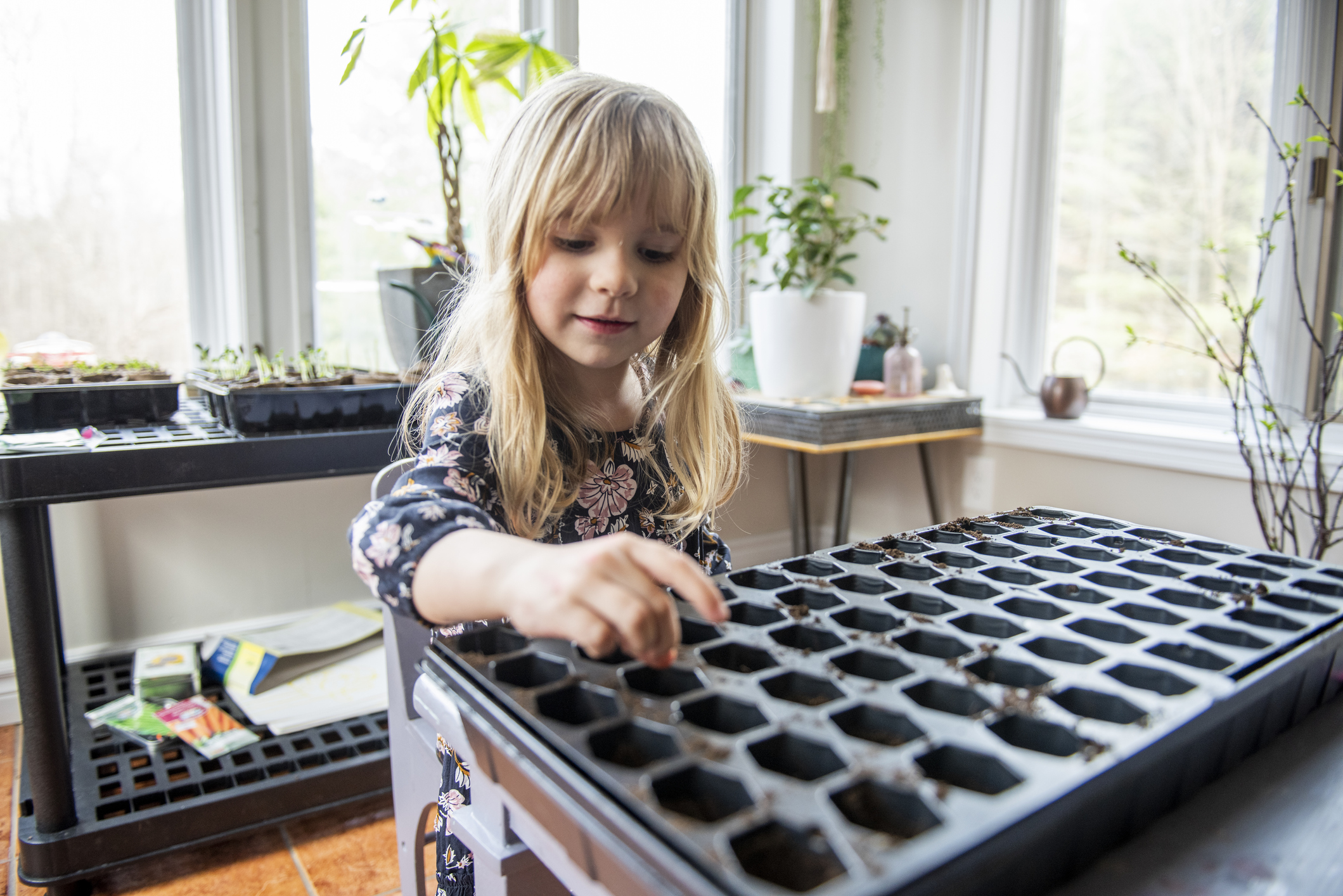 The Time Has Come to Start Seeding Your Plants Indoors